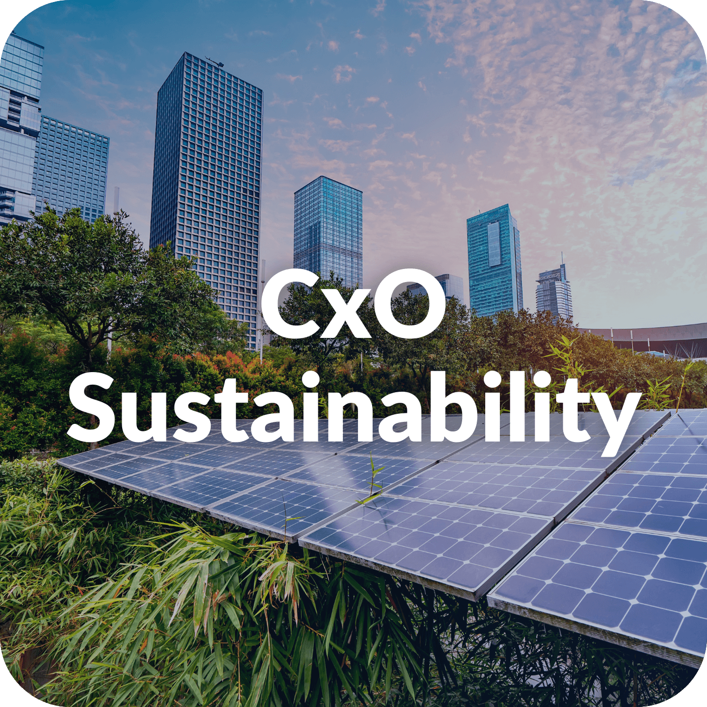 CxO Sustainability 2025