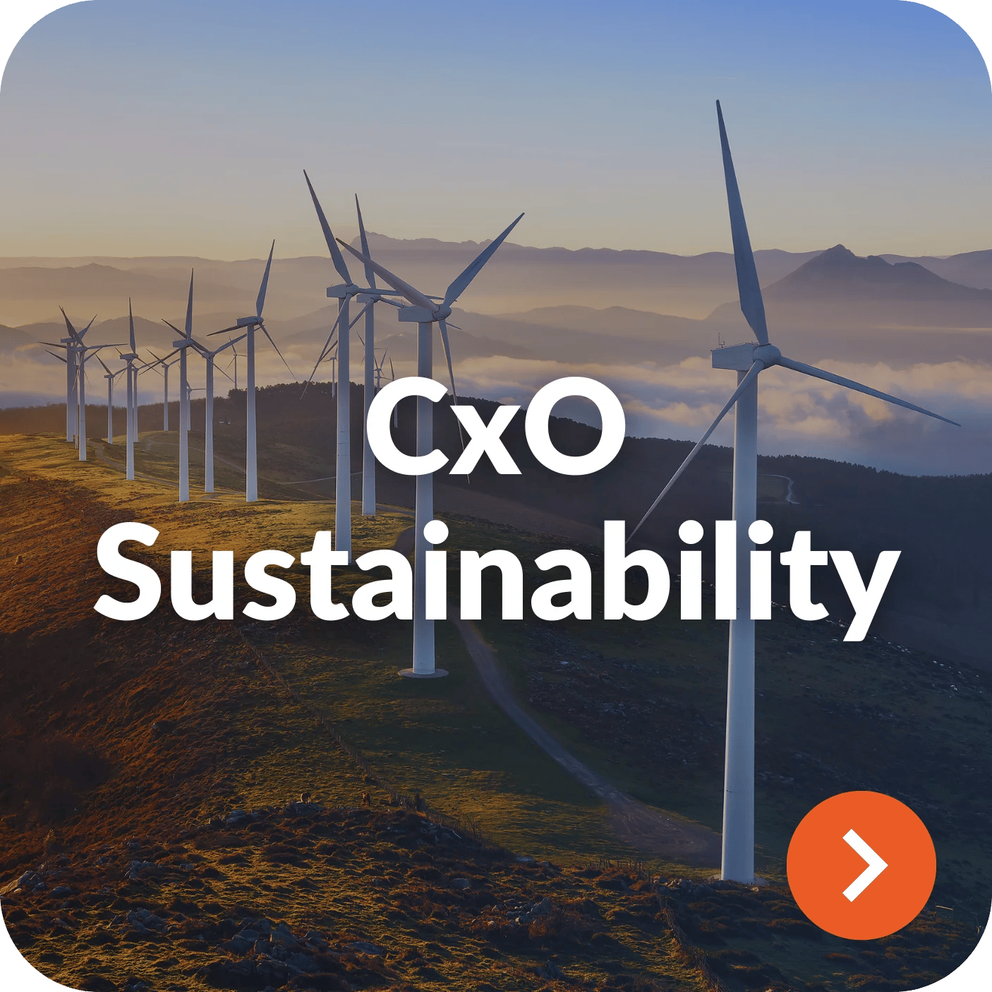 CxO Sustainability